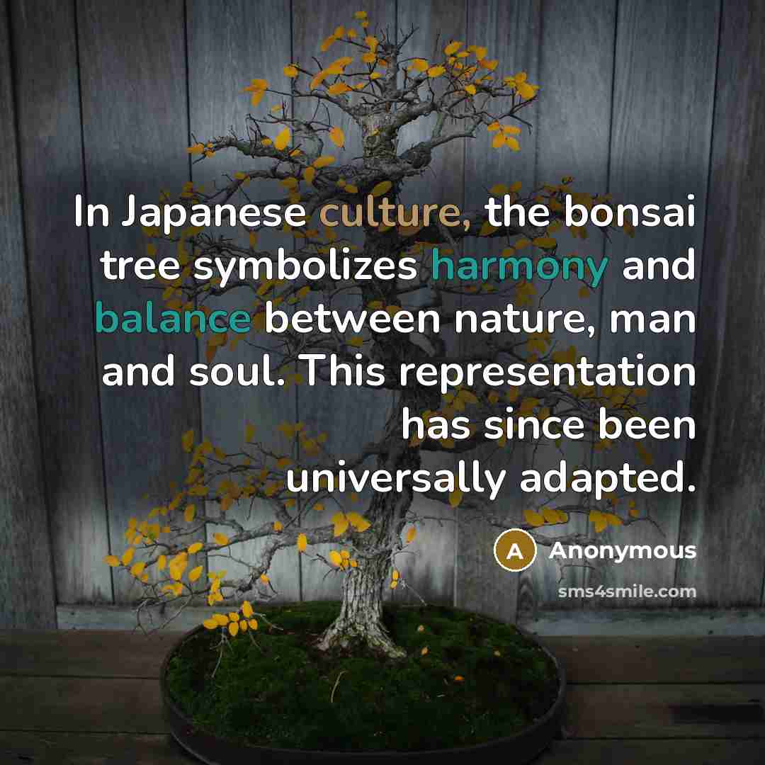 “In Japanese culture, the bonsai tree symbolizes harmony and balance between nature, man and soul. This representation has since been universally adapted.” quote by Anonymous