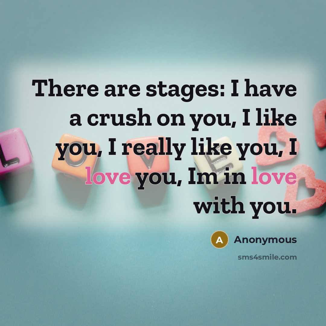 “There are stages: I have a crush on you, I…” quote by Anonymous
