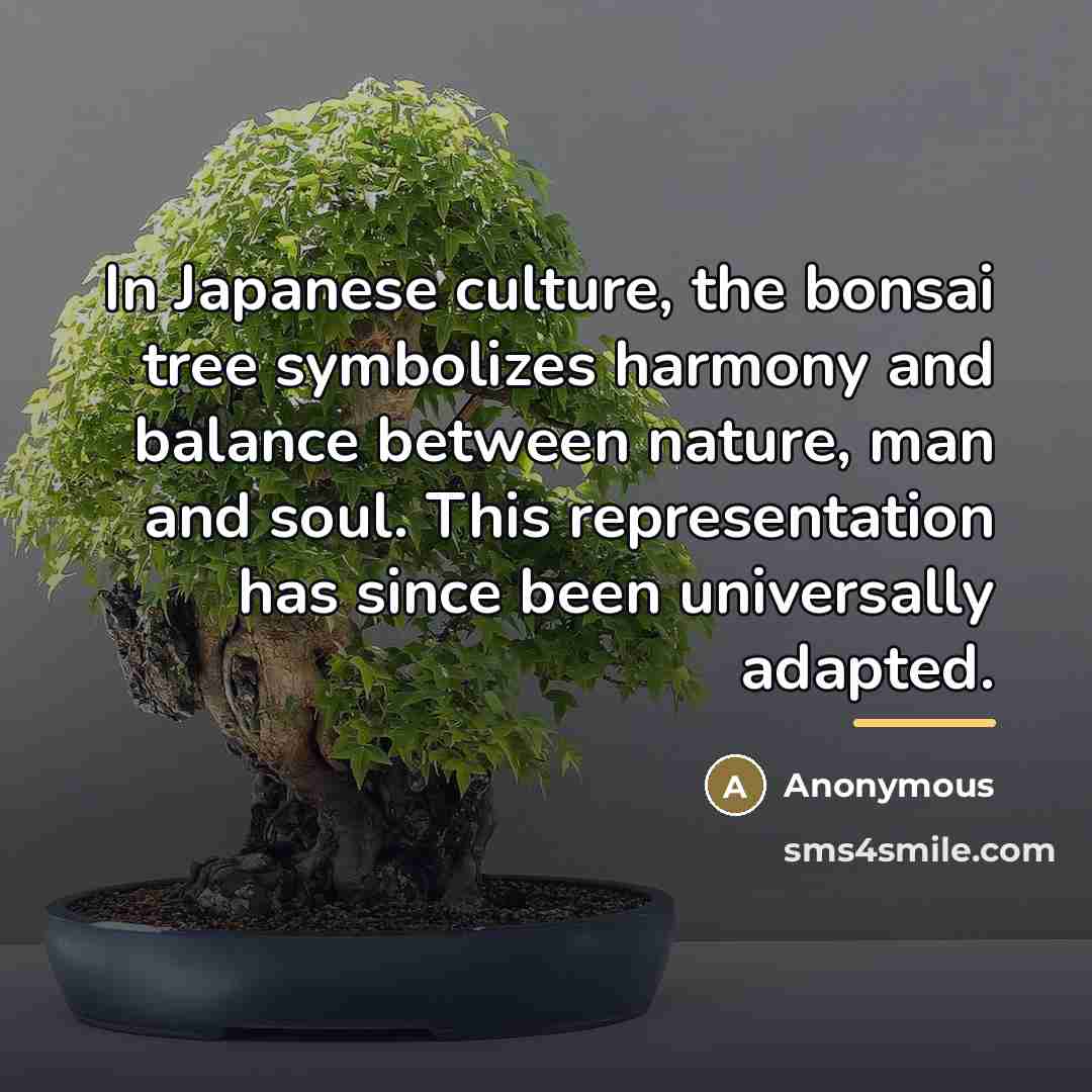 “In Japanese culture, the bonsai tree symbolizes harmony and balance…” quote by Anonymous