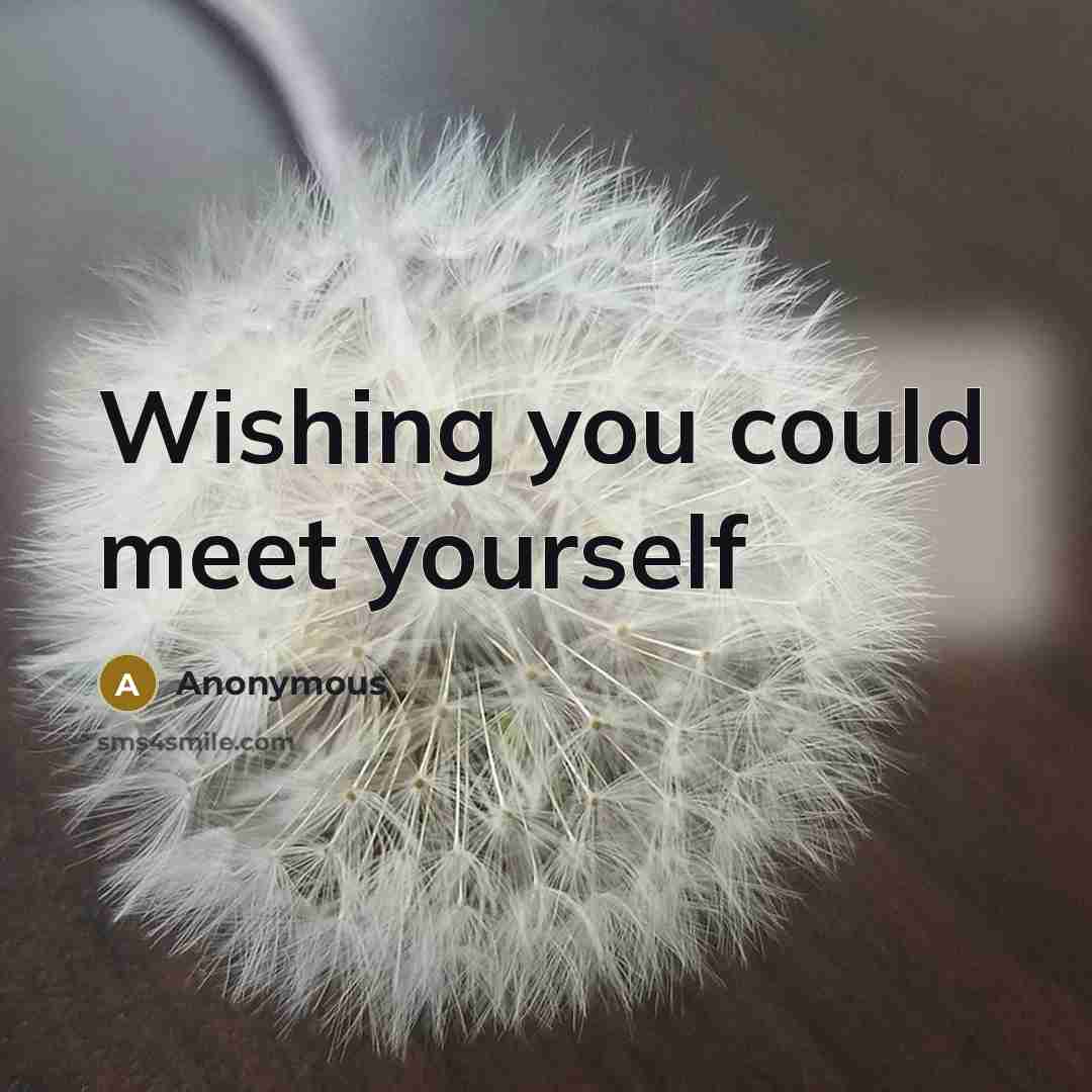 “Wishing you could meet yourself…” quote by Anonymous