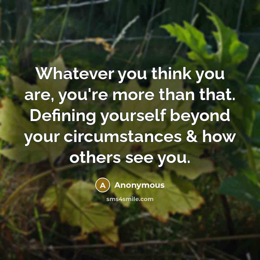 “Whatever you think you are, you're more than that. Defining yourself beyond your circumstances & how others see you.” quote by Anonymous