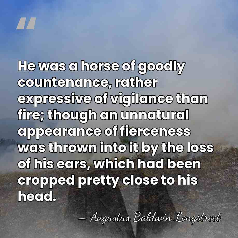 He was a horse of goodly countenance, rather expressive of vigilance than&hellip; - Augustus Baldwin Longstreet