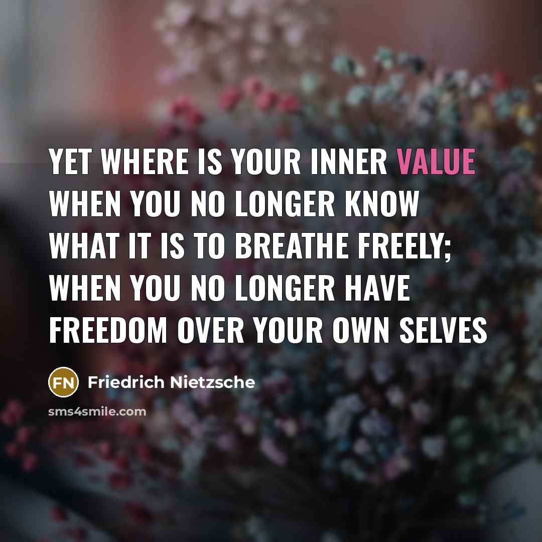 “Yet where is your inner value when you no longer…” quote by Friedrich Nietzsche
