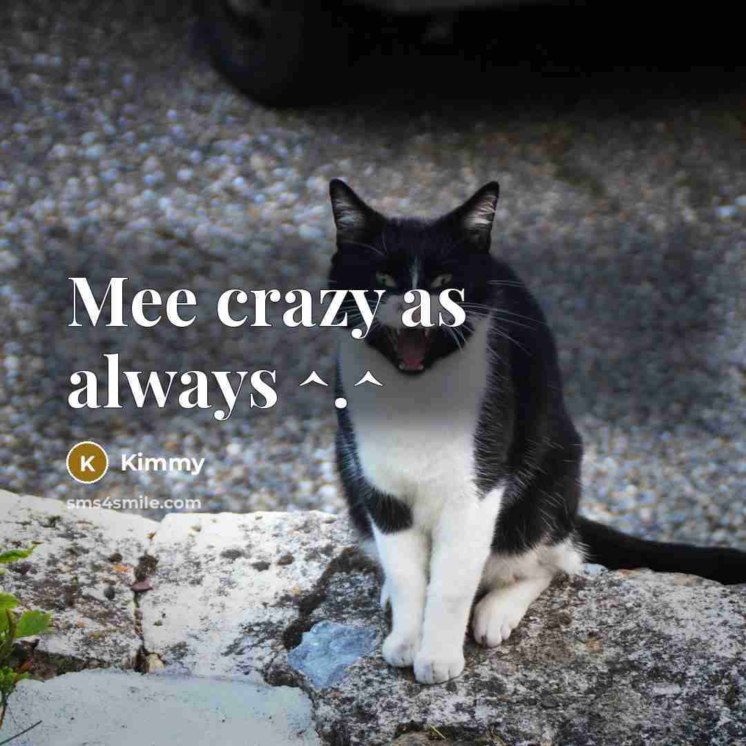 “Mee crazy as always ^.^…” quote by Kimmy