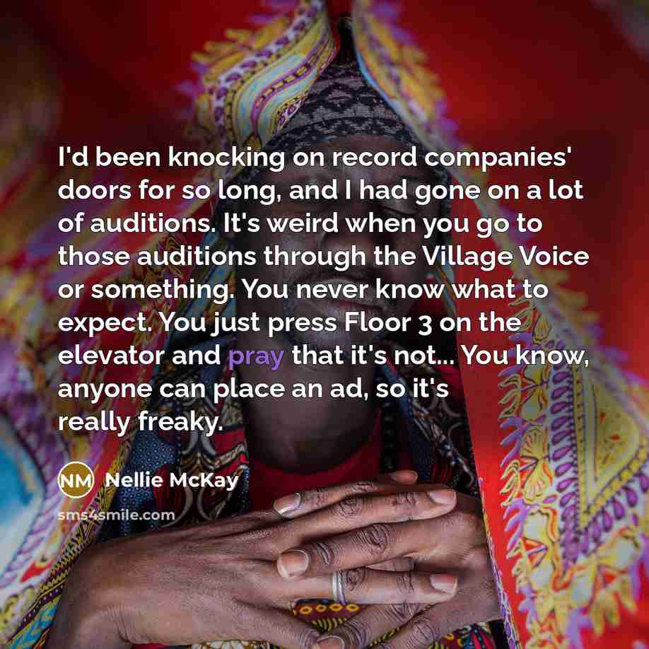 “I'd been knocking on record companies' doors for so long,…” quote by Nellie McKay