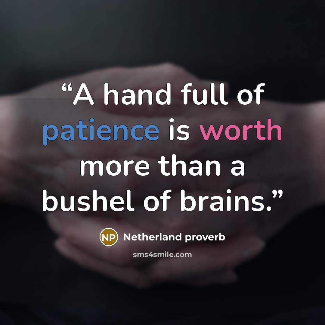 “A hand full of patience is worth more than a bushel of brains.” quote by Netherland proverb