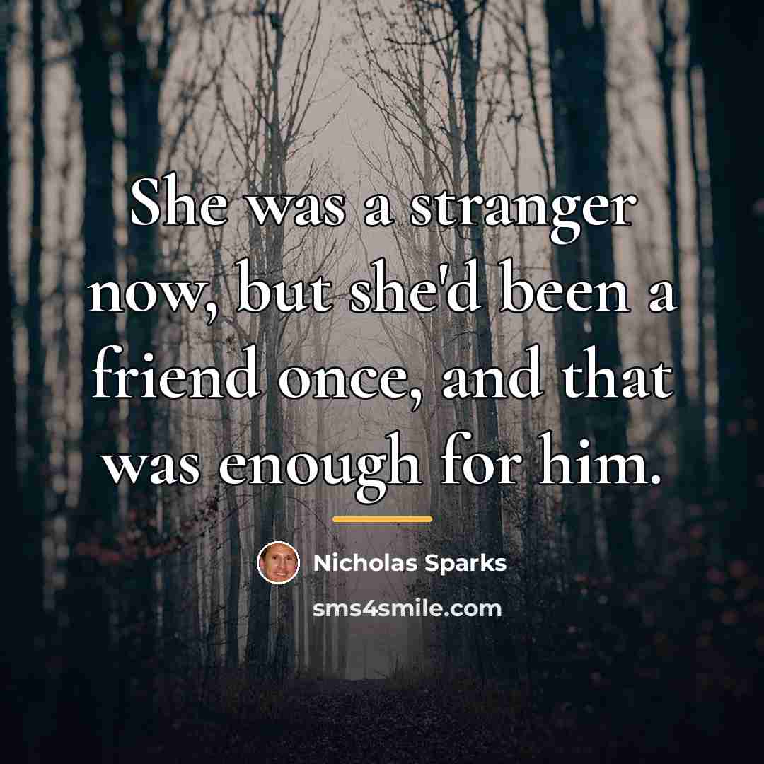“She was a stranger now, but she'd been a friend…” quote by Nicholas Sparks