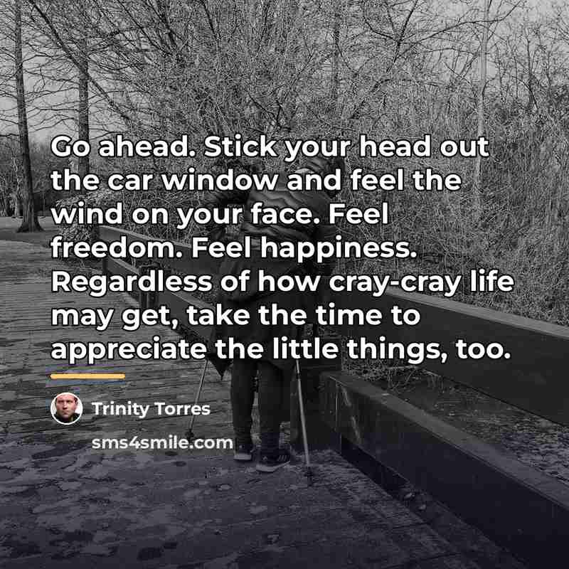 “Go ahead. Stick your head out the car window and…” quote by Trinity Torres