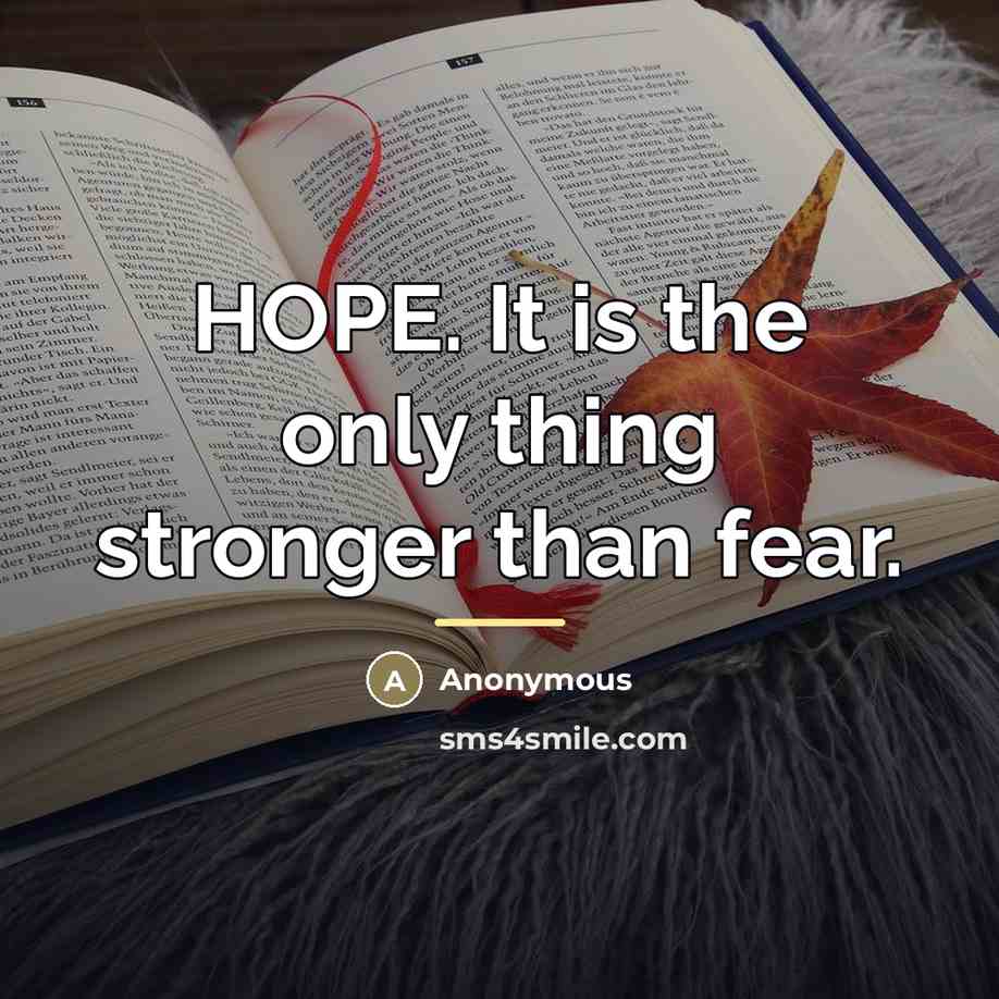 “HOPE. It is the only thing stronger than fear.…” quote by Anonymous