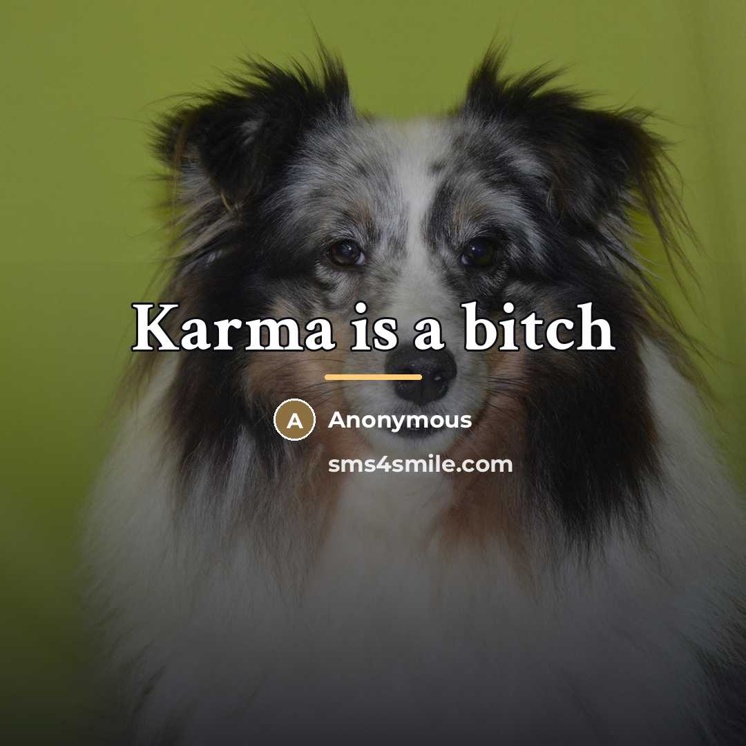 “Karma is a bitch…” quote by Anonymous