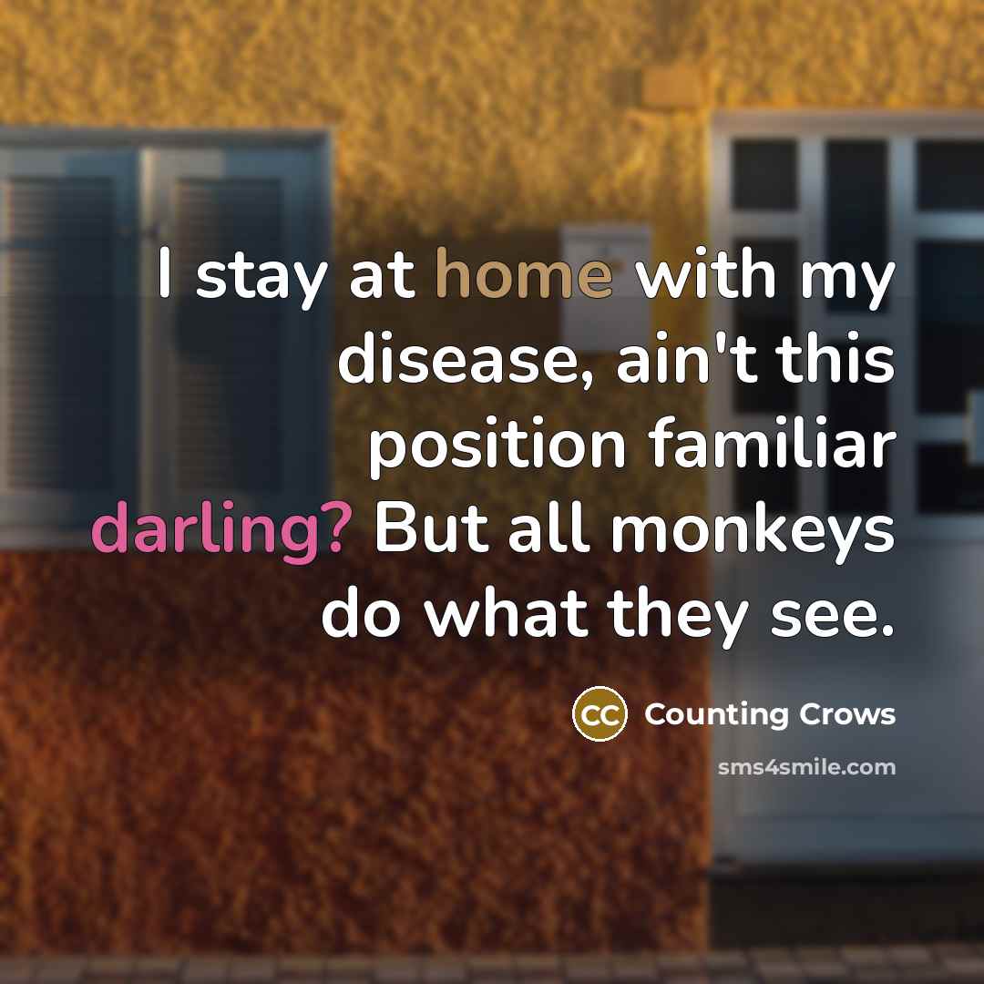 “I stay at home with my disease, ain't this position familiar darling? But all monkeys do what they see.” quote by Counting Crows