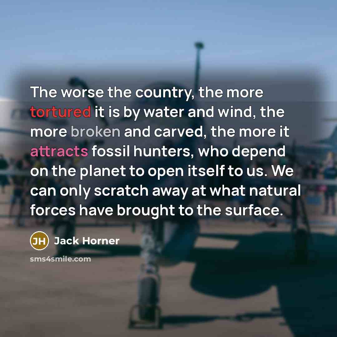 “The worse the country, the more tortured it is by…” quote by Jack Horner