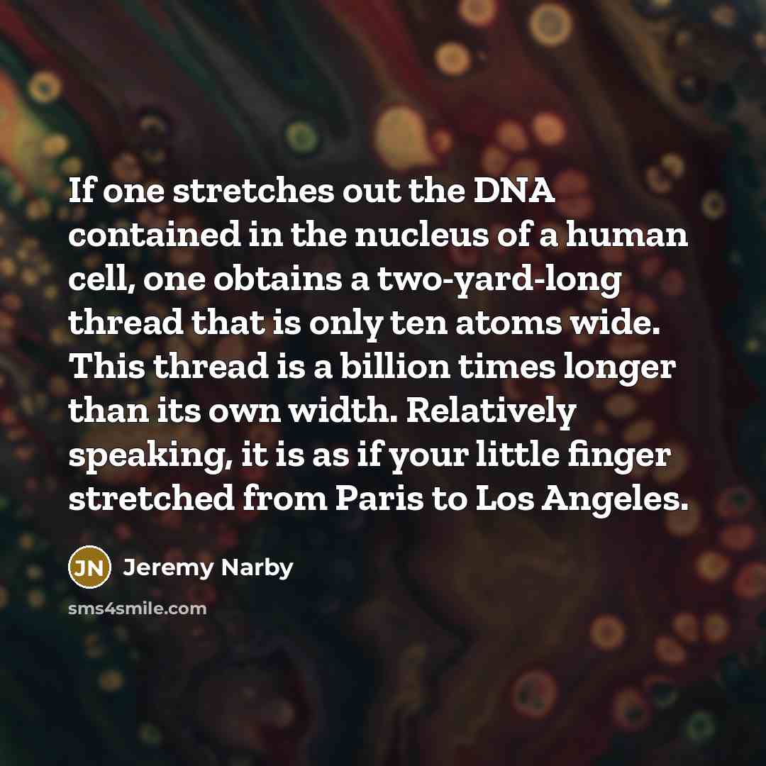 “If one stretches out the DNA contained in the nucleus…” quote by Jeremy Narby