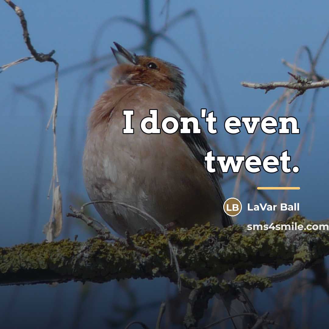 “I don't even tweet.…” quote by LaVar Ball