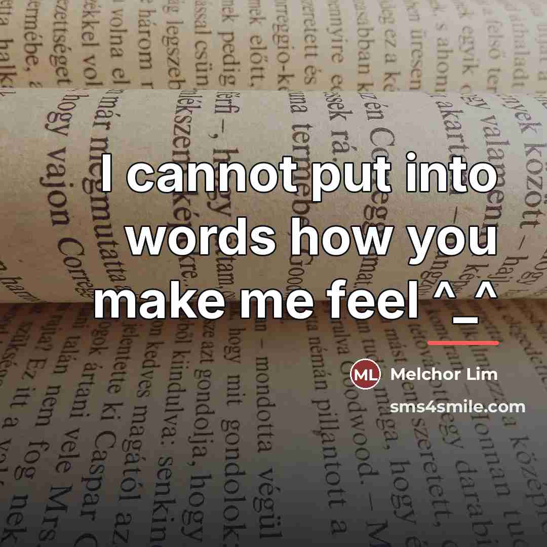 “I cannot put into words how you make me feel…” quote by Melchor Lim