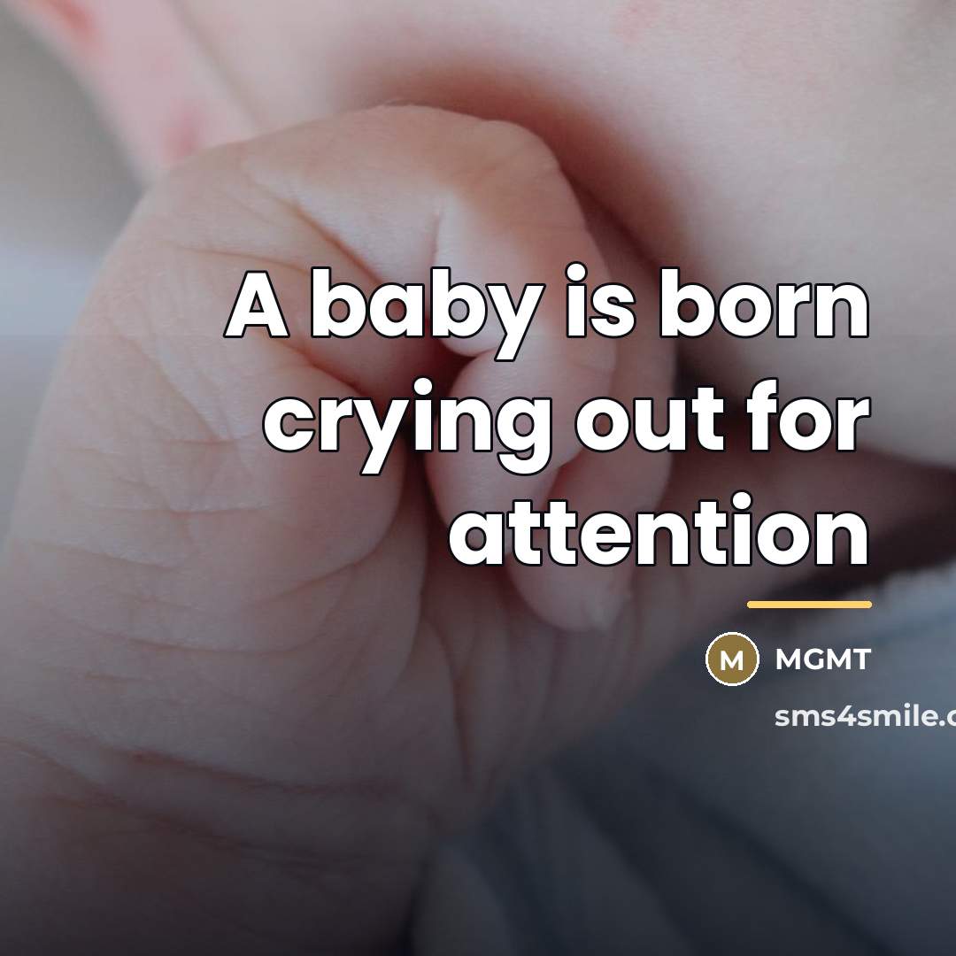 “A baby is born crying out for attention…” quote by MGMT