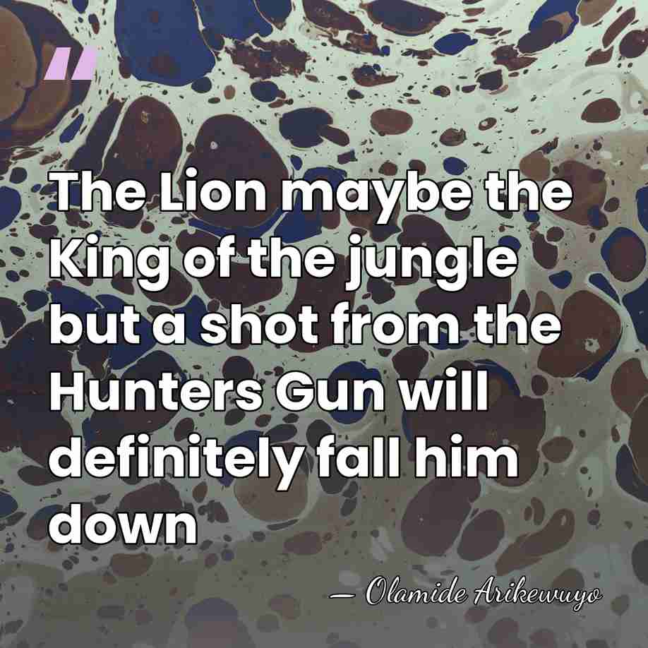 The Lion maybe the King of the jungle but a shot from&hellip; - Olamide Arikewuyo