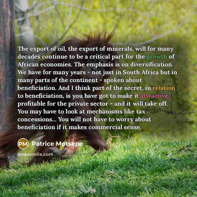 “The export of oil, the export of minerals, will for…” quote by Patrice Motsepe