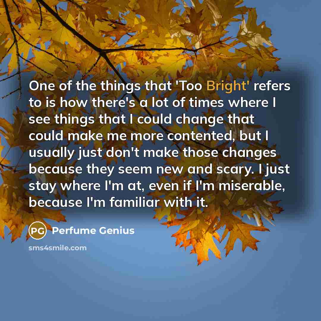 “One of the things that 'Too Bright' refers to is…” quote by Perfume Genius