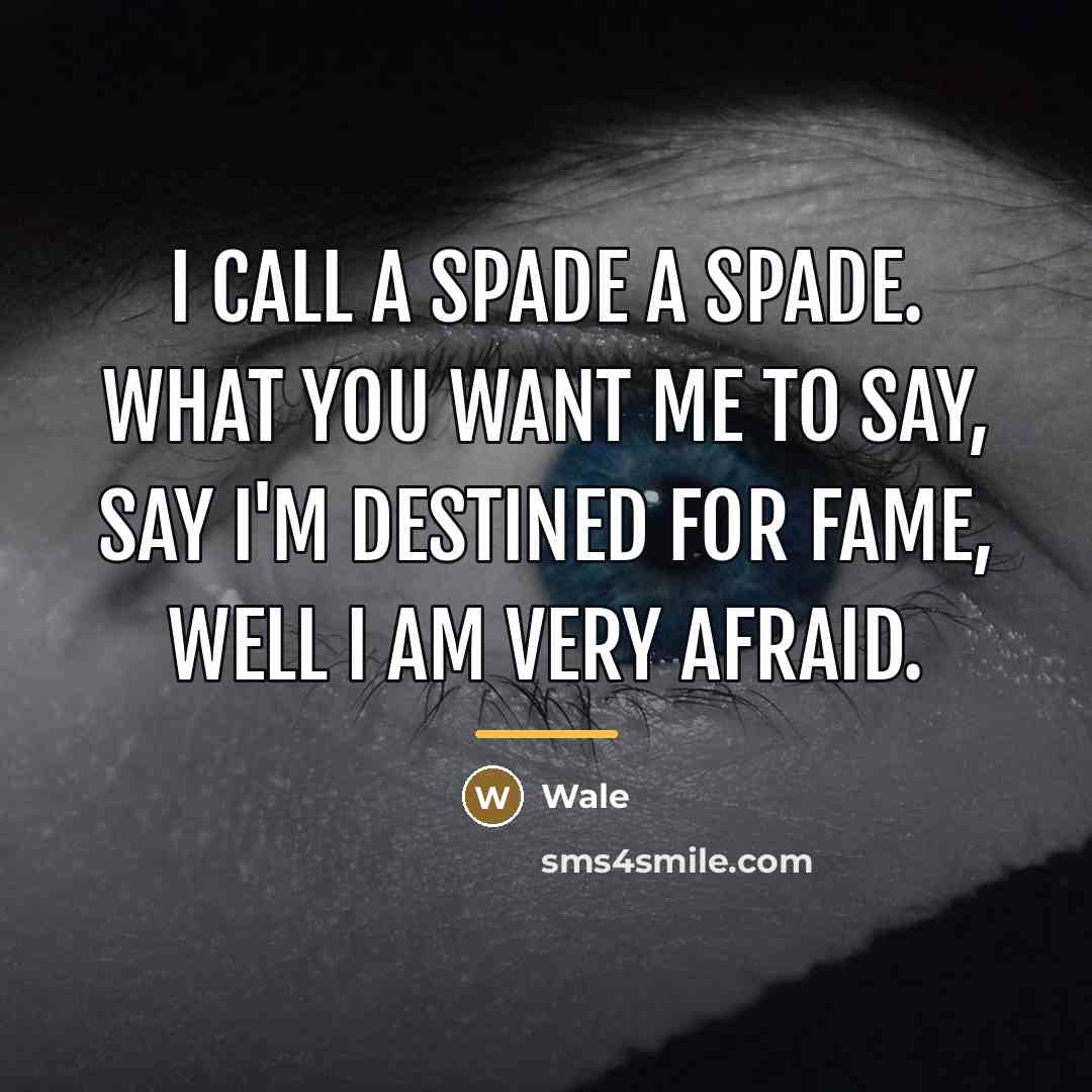 “I call a spade a spade. What you want me…” quote by Wale