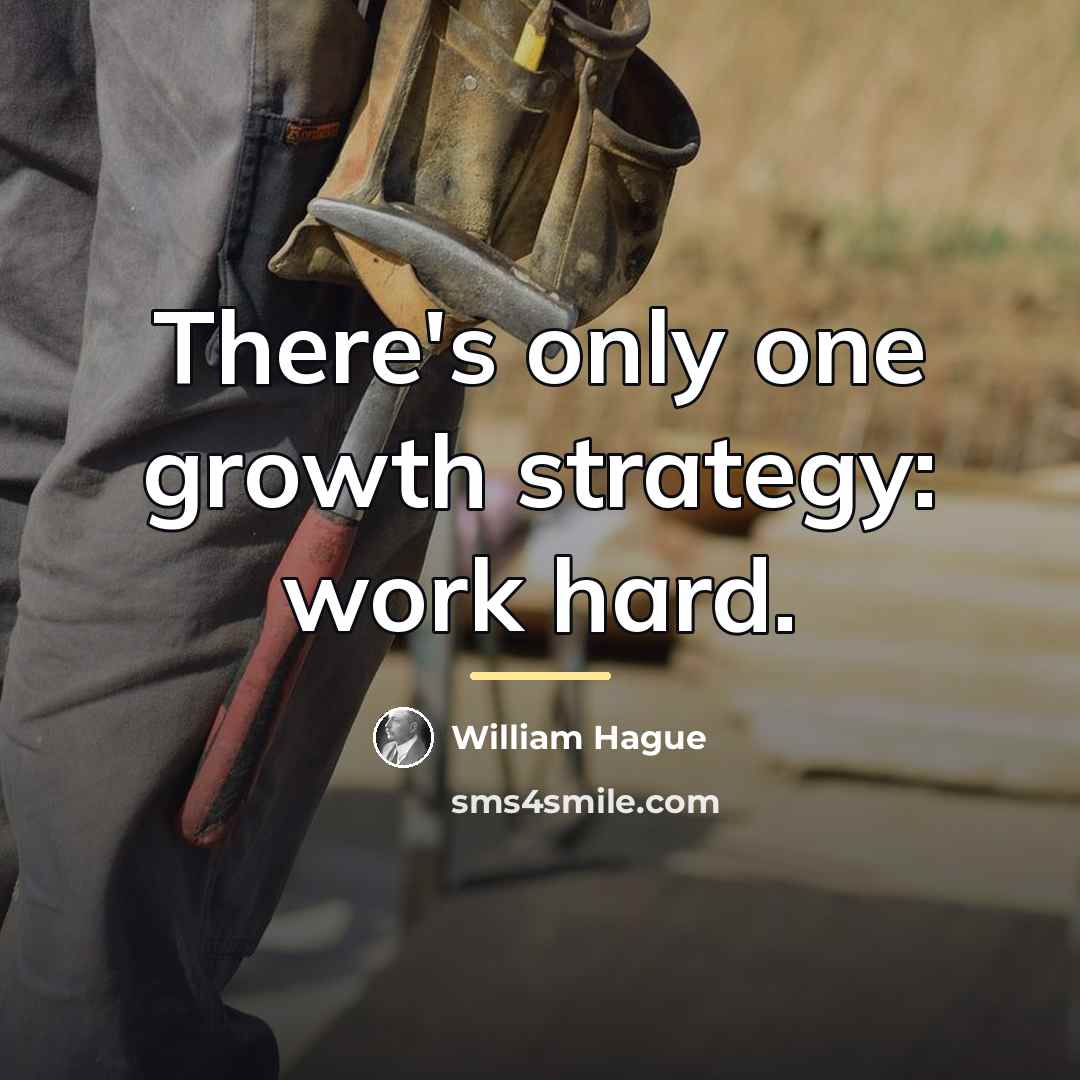 “There's only one growth strategy: work hard.…” quote by William Hague