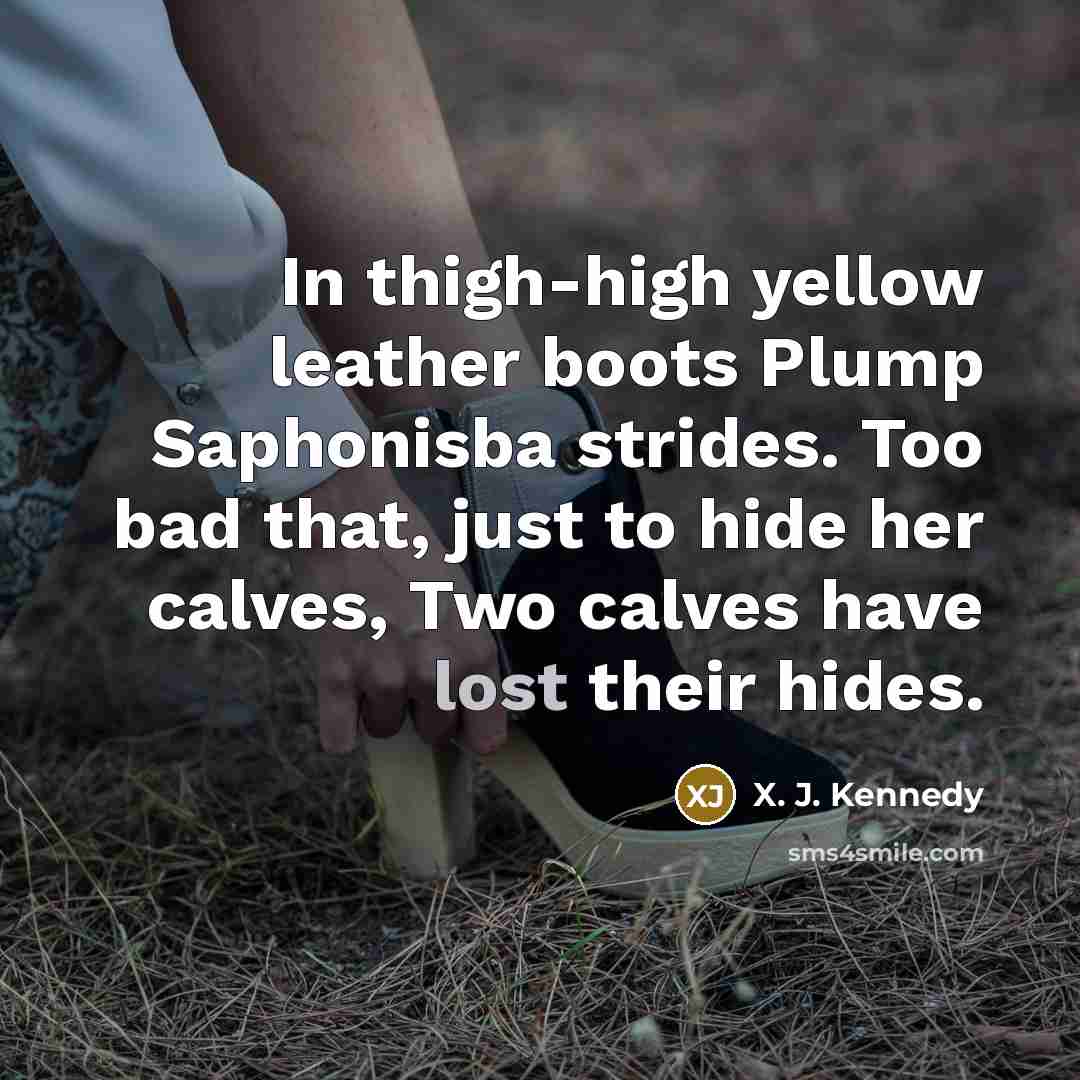 “In thigh-high yellow leather boots Plump Saphonisba strides. Too bad…” quote by X. J. Kennedy