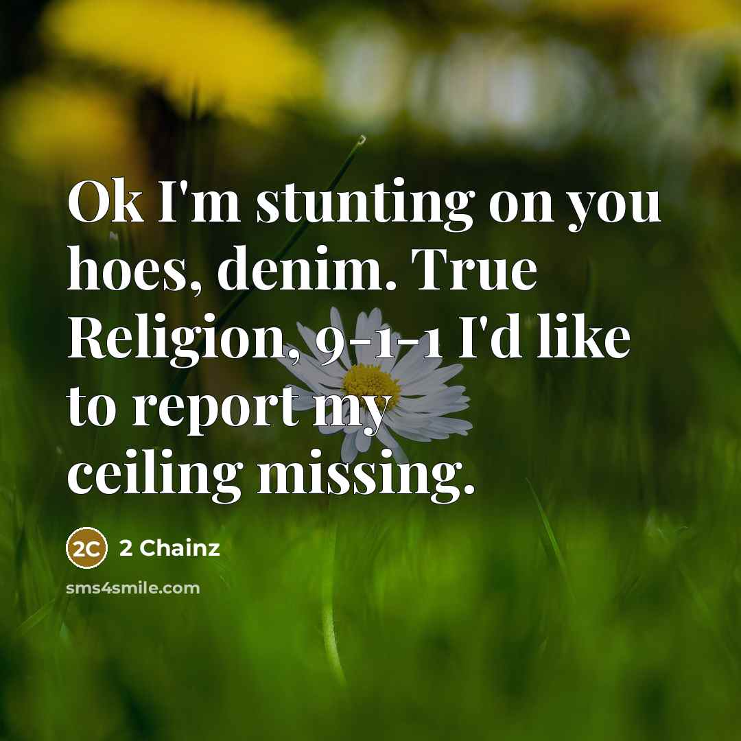 “Ok I'm stunting on you hoes, denim. True Religion, 9-1-1…” quote by 2 Chainz