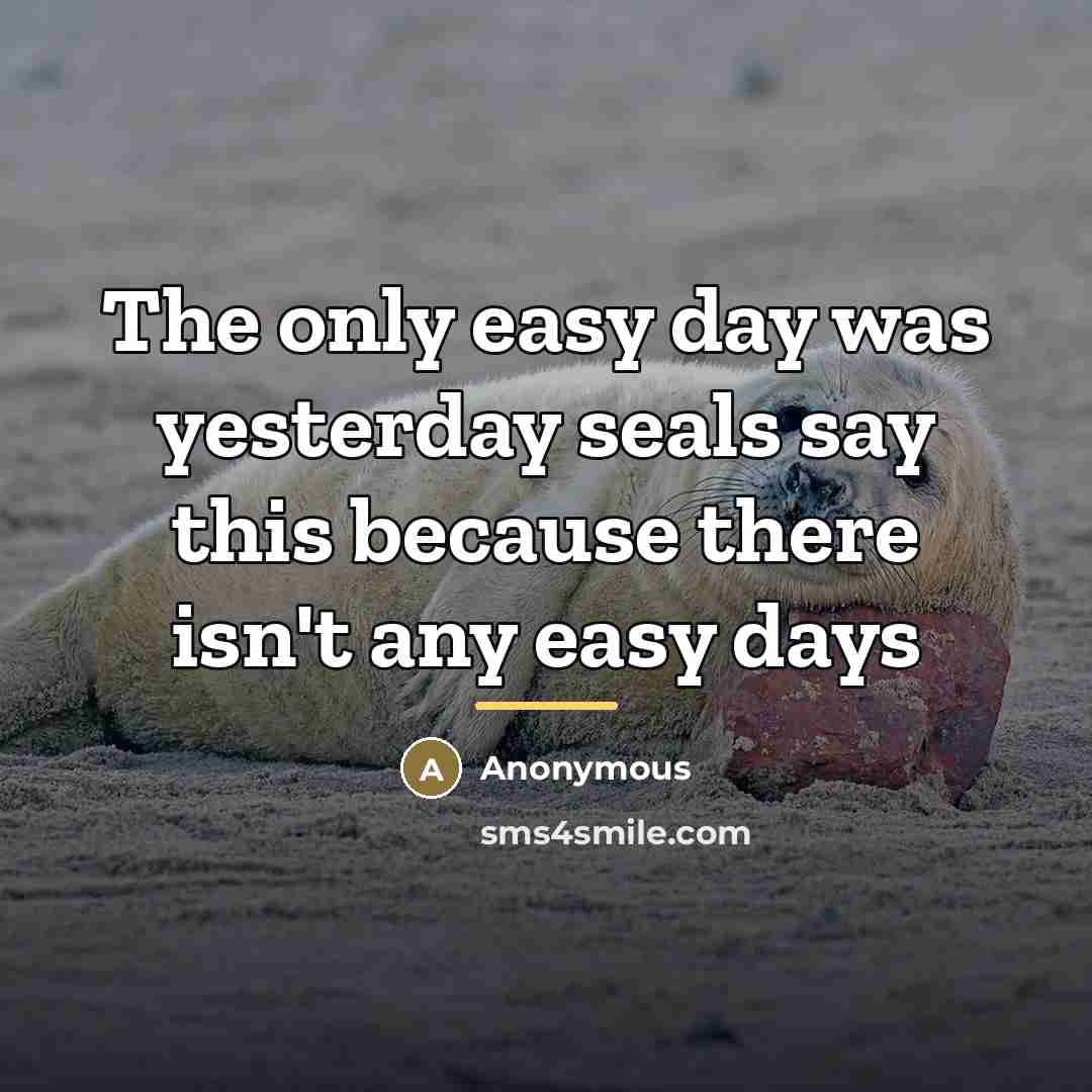 “The only easy day was yesterday seals say this because…” quote by Anonymous