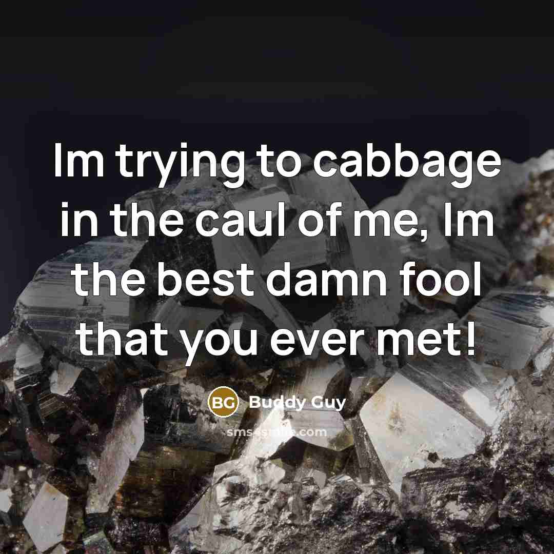 “Im trying to cabbage in the caul of me, Im the best damn fool that you ever met!” quote by Buddy Guy