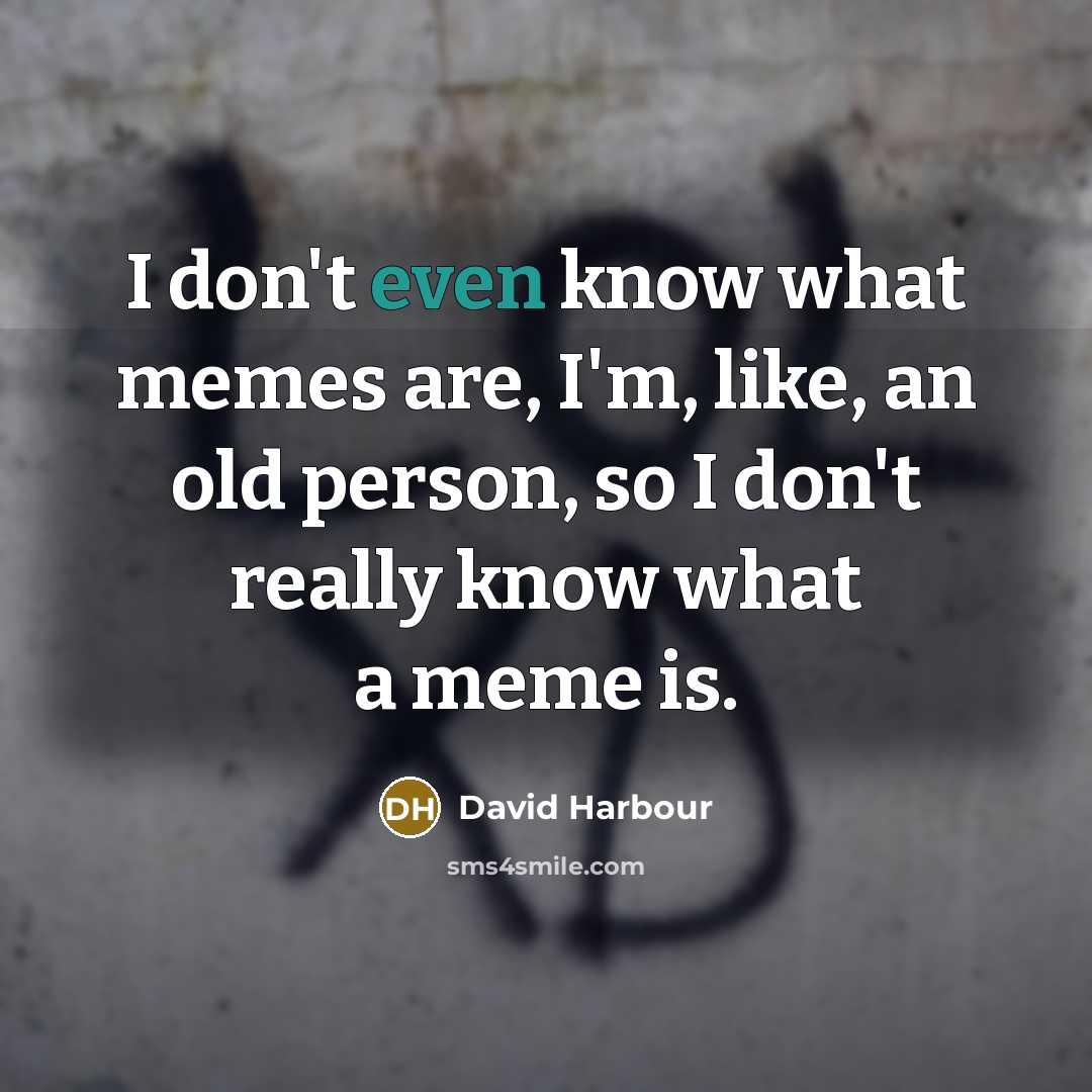 “I don't even know what memes are, I'm, like, an…” quote by David Harbour