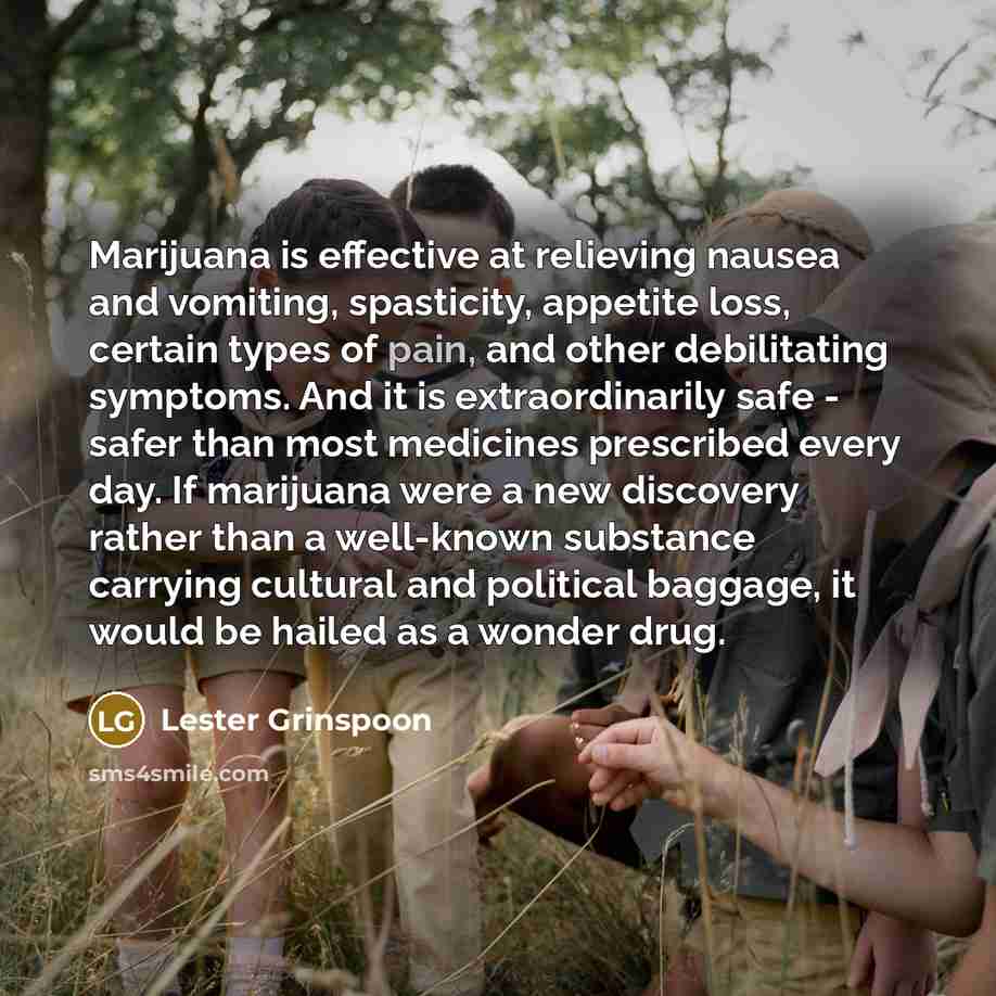 “Marijuana is effective at relieving nausea and vomiting, spasticity, appetite…” quote by Lester Grinspoon