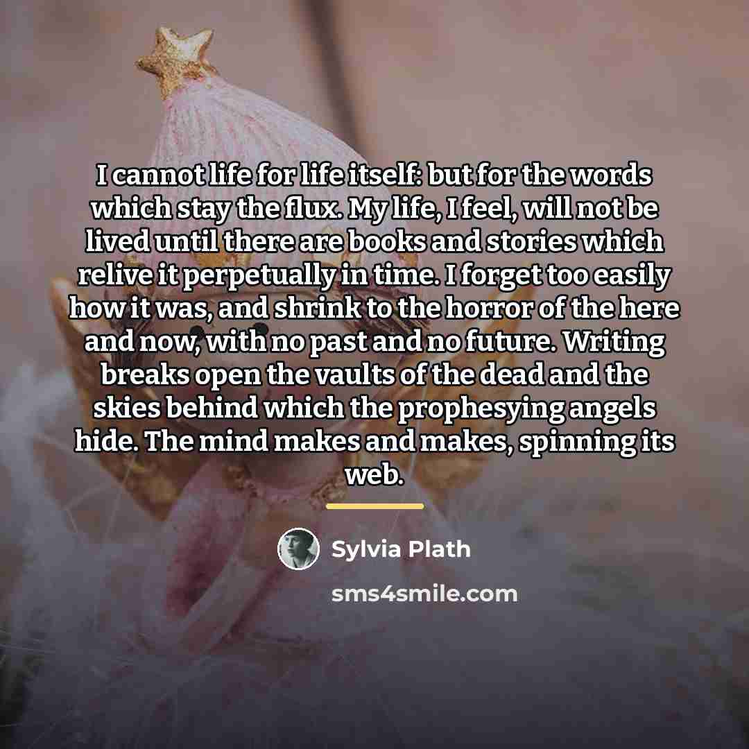 “I cannot life for life itself: but for the words…” quote by Sylvia Plath