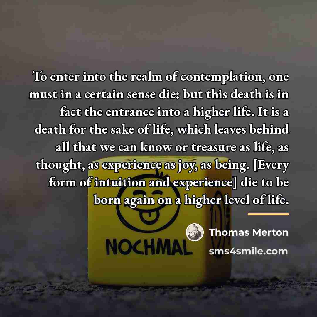 “To enter into the realm of contemplation, one must in…” quote by Thomas Merton