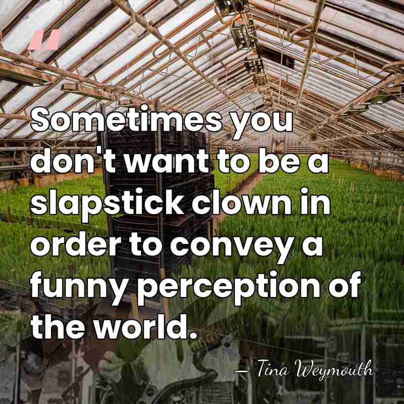 Sometimes you don't want to be a slapstick clown in order to&hellip; - Tina Weymouth
