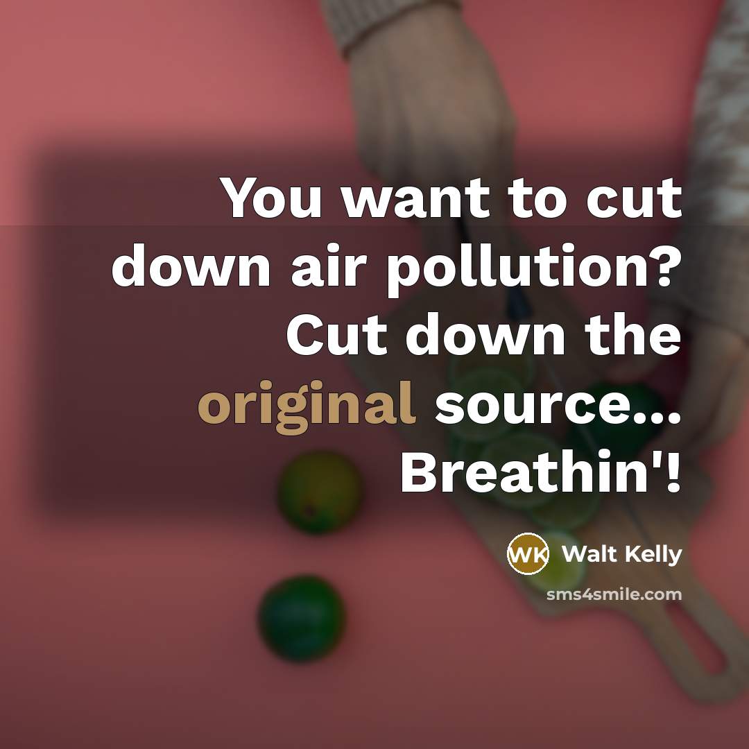 “You want to cut down air pollution? Cut down the…” quote by Walt Kelly