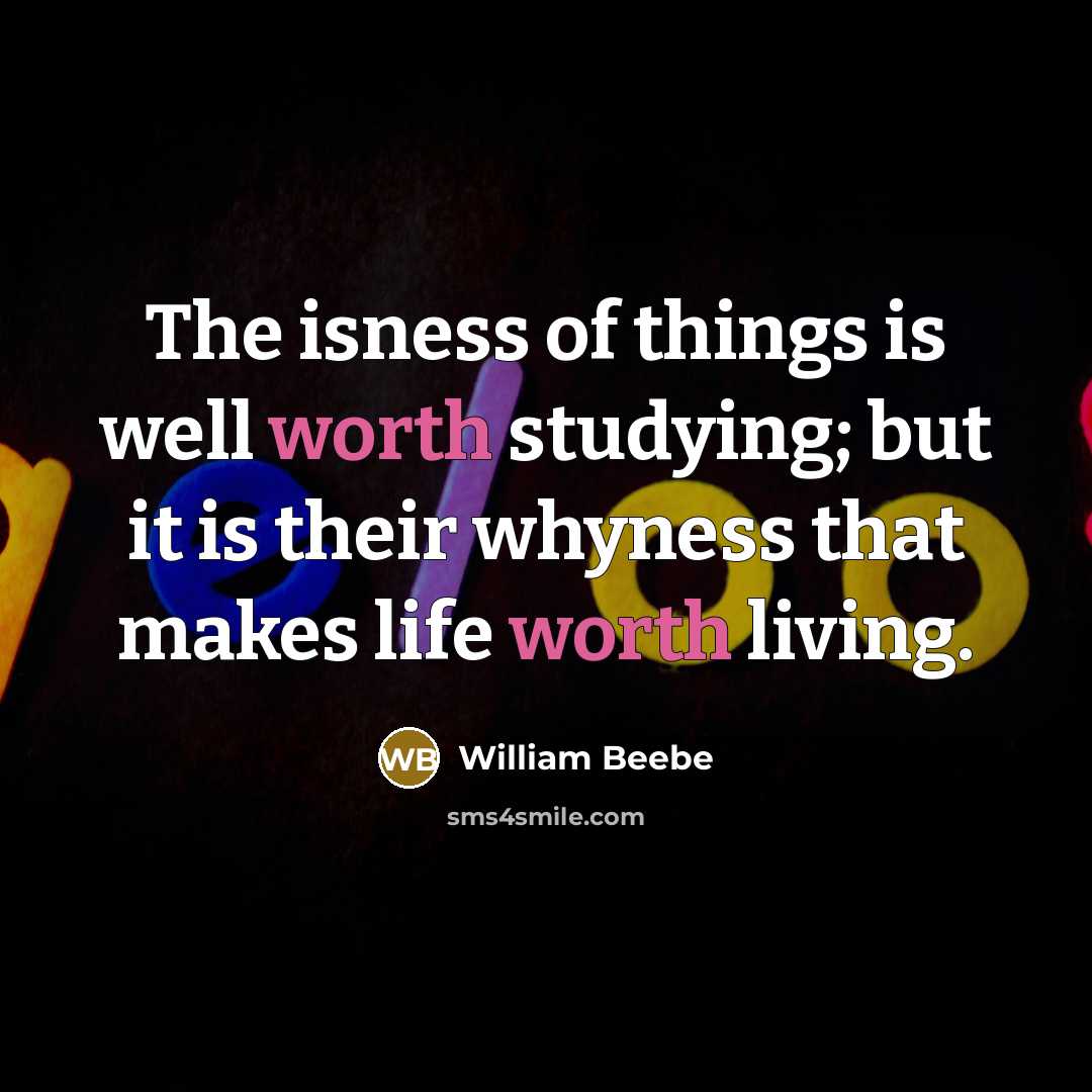 “The isness of things is well worth studying; but it…” quote by William Beebe
