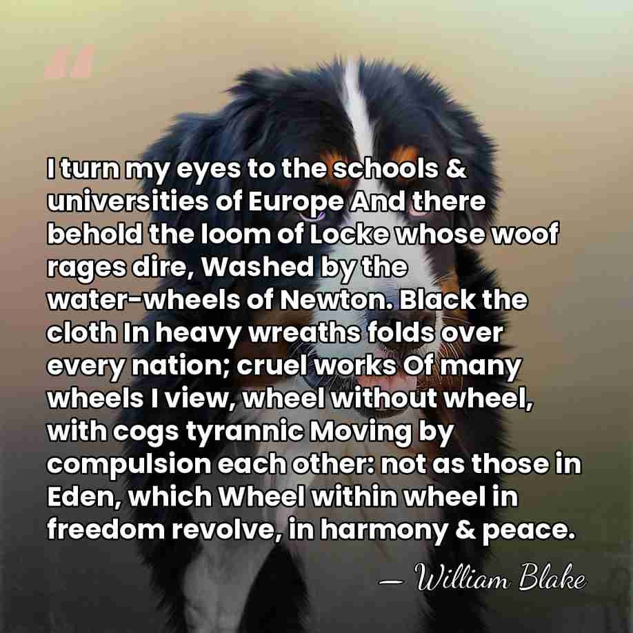 I turn my eyes to the schools & universities of Europe And&hellip; - William Blake