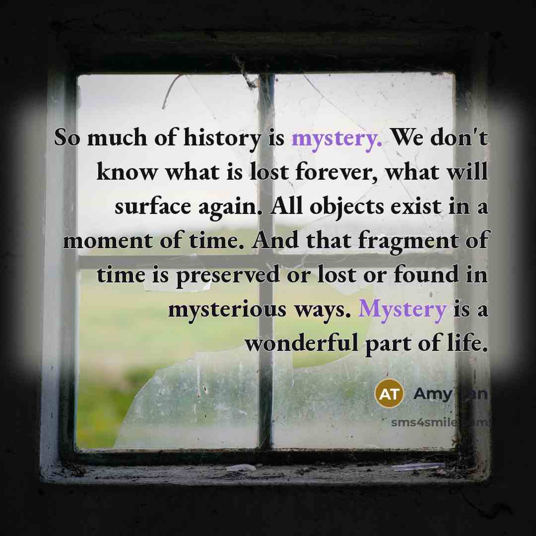 “So much of history is mystery. We don't know what…” quote by Amy Tan