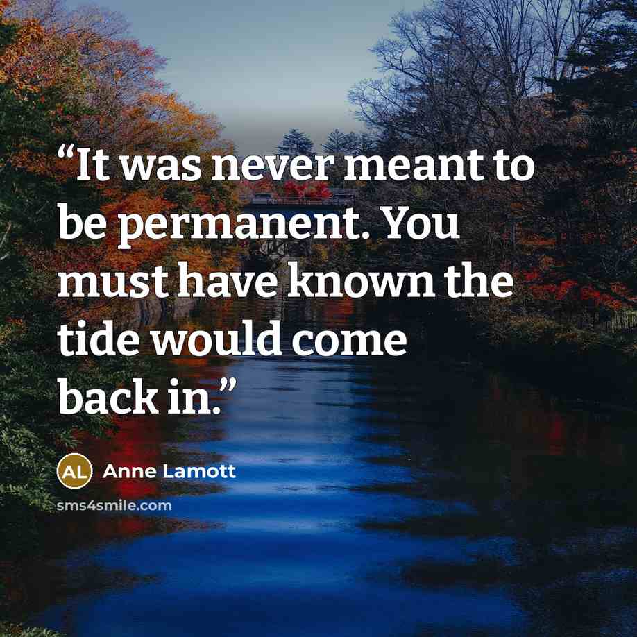 “It was never meant to be permanent. You must have known the tide would come back in.” quote by Anne Lamott