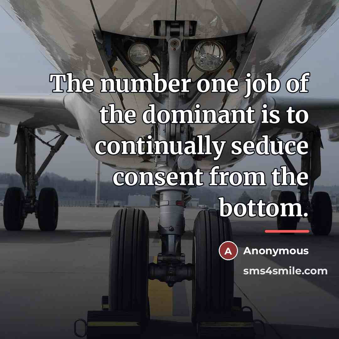 “The number one job of the dominant is to continually…” quote by Joe Bean