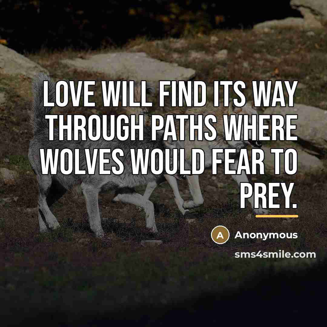 “Love will find its way through paths where wolves would…” quote by Anonymous
