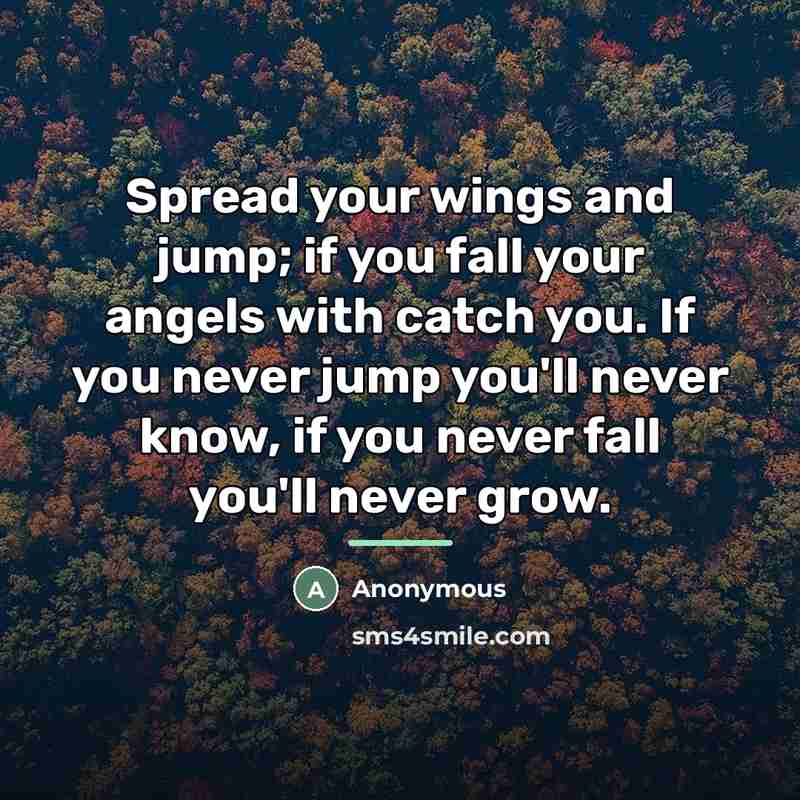 “Spread your wings and jump; if you fall your angels…” quote by Anonymous