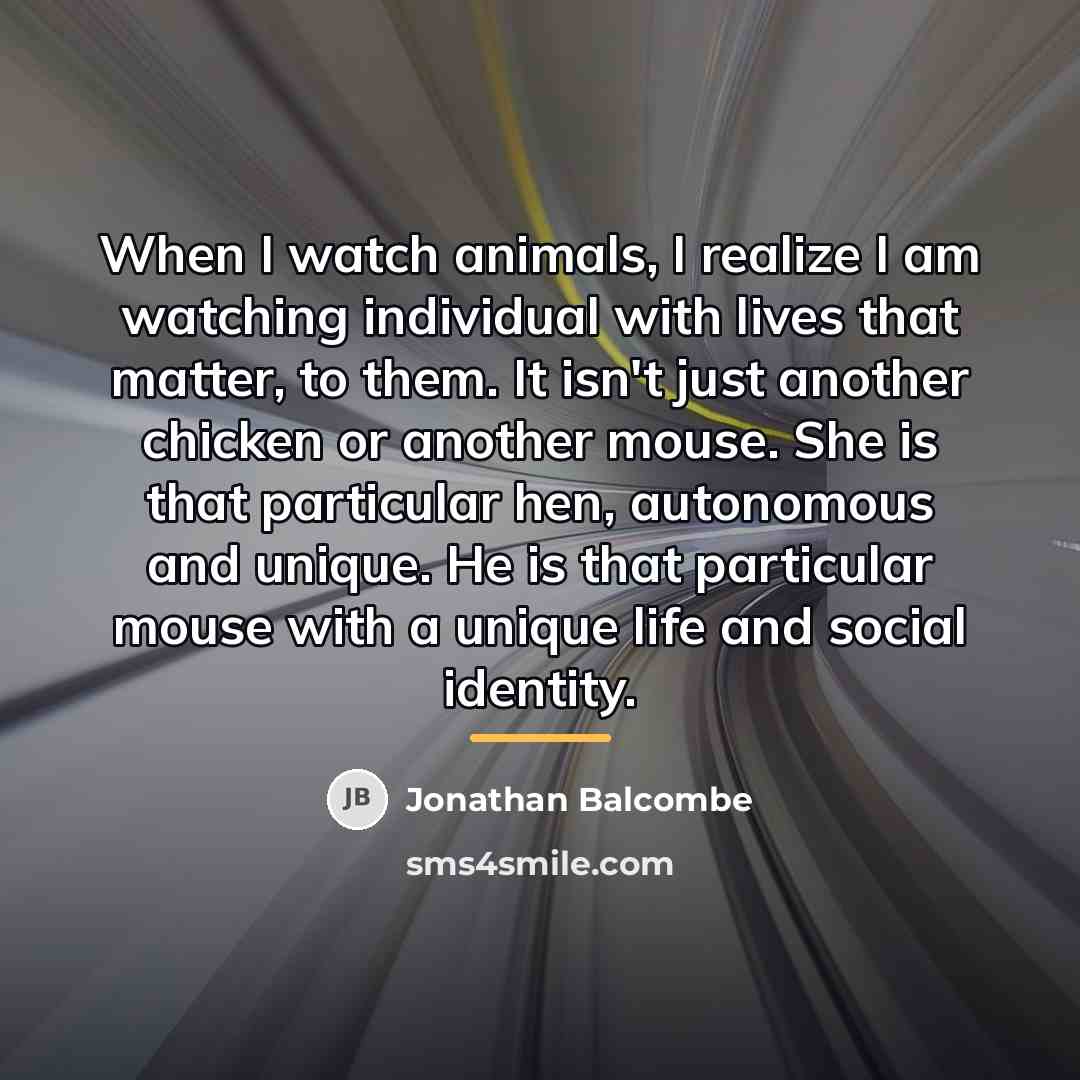 “When I watch animals, I realize I am watching individual…” quote by Jonathan Balcombe