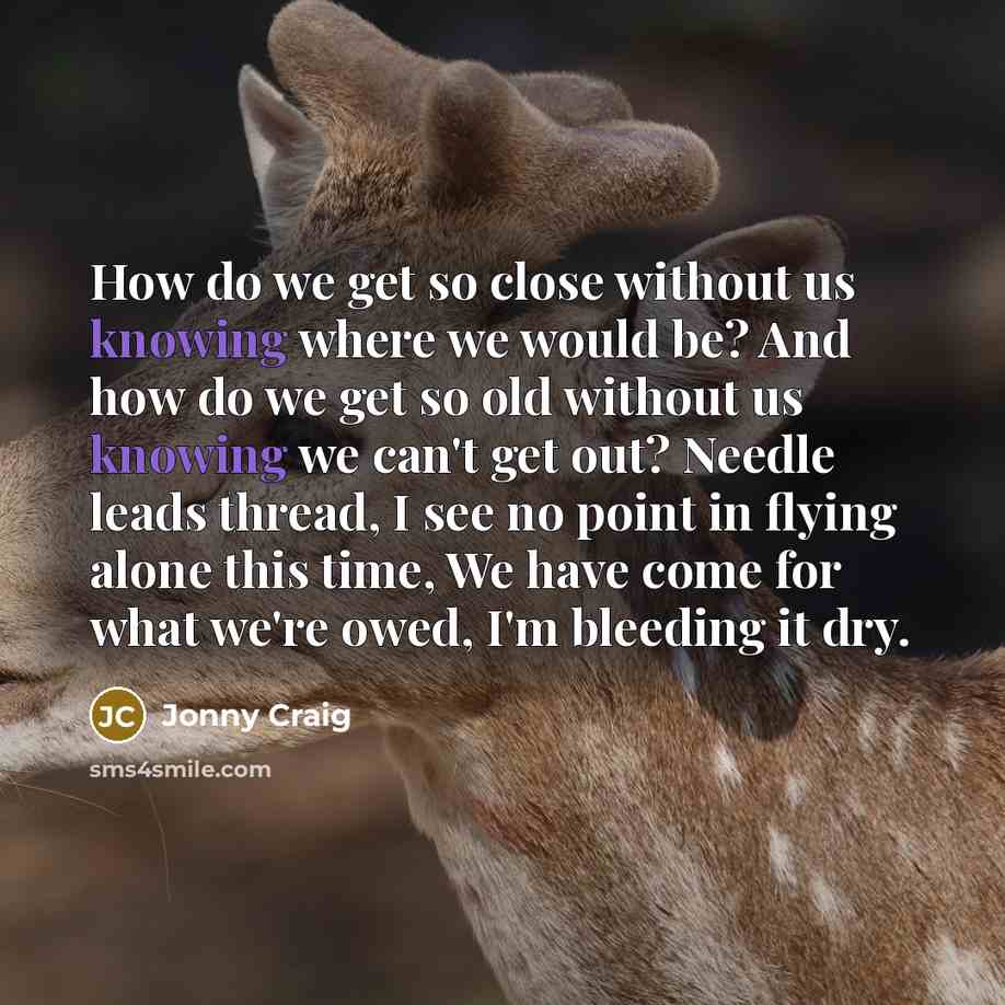 “How do we get so close without us knowing where we would be? And how do we get so old without us knowing we can't get out? Needle leads thread, I see no point in flying alone this time, We have come for what we're owed, I'm bleeding it dry.” quote by Jonny Craig