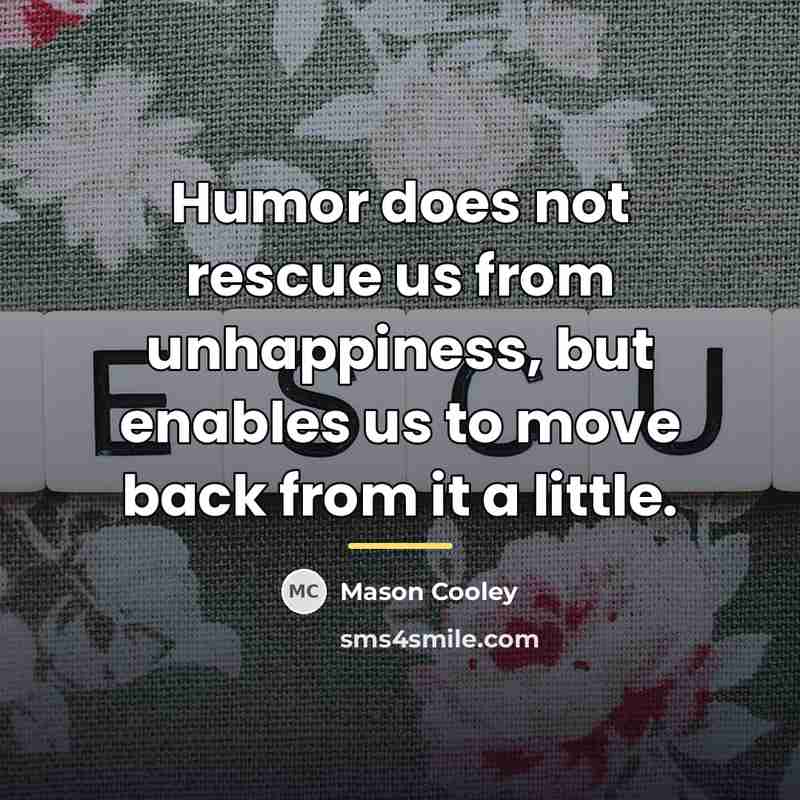“Humor does not rescue us from unhappiness, but enables us…” quote by Mason Cooley
