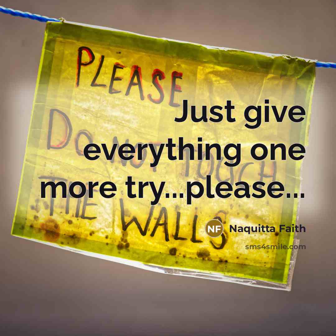 “Just give everything one more try...please...” quote by Naquitta Faith
