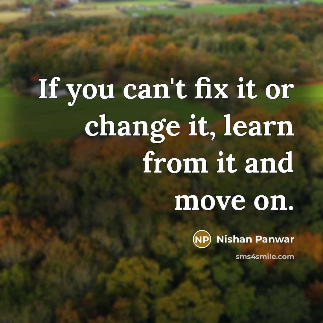 “If you can't fix it or change it, learn from…” quote by Nishan Panwar