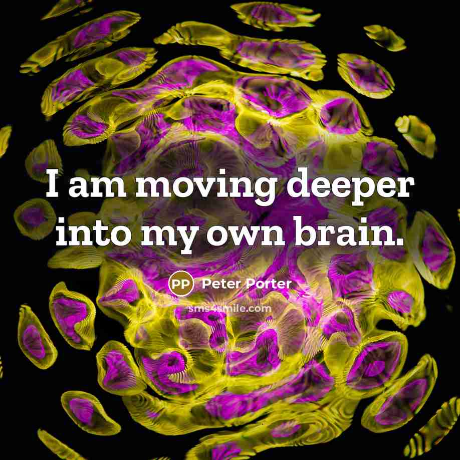 “I am moving deeper into my own brain.…” quote by Peter Porter