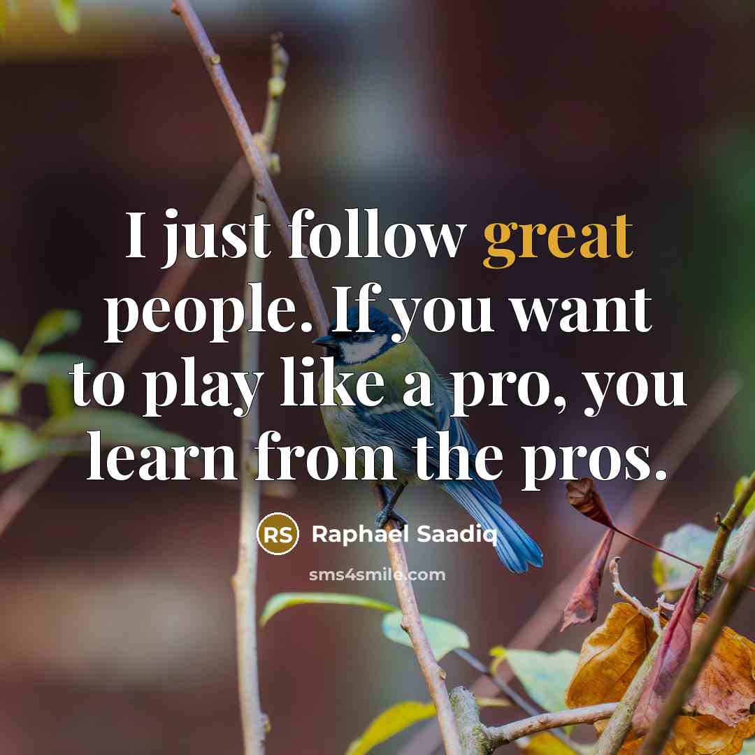 “I just follow great people. If you want to play…” quote by Raphael Saadiq