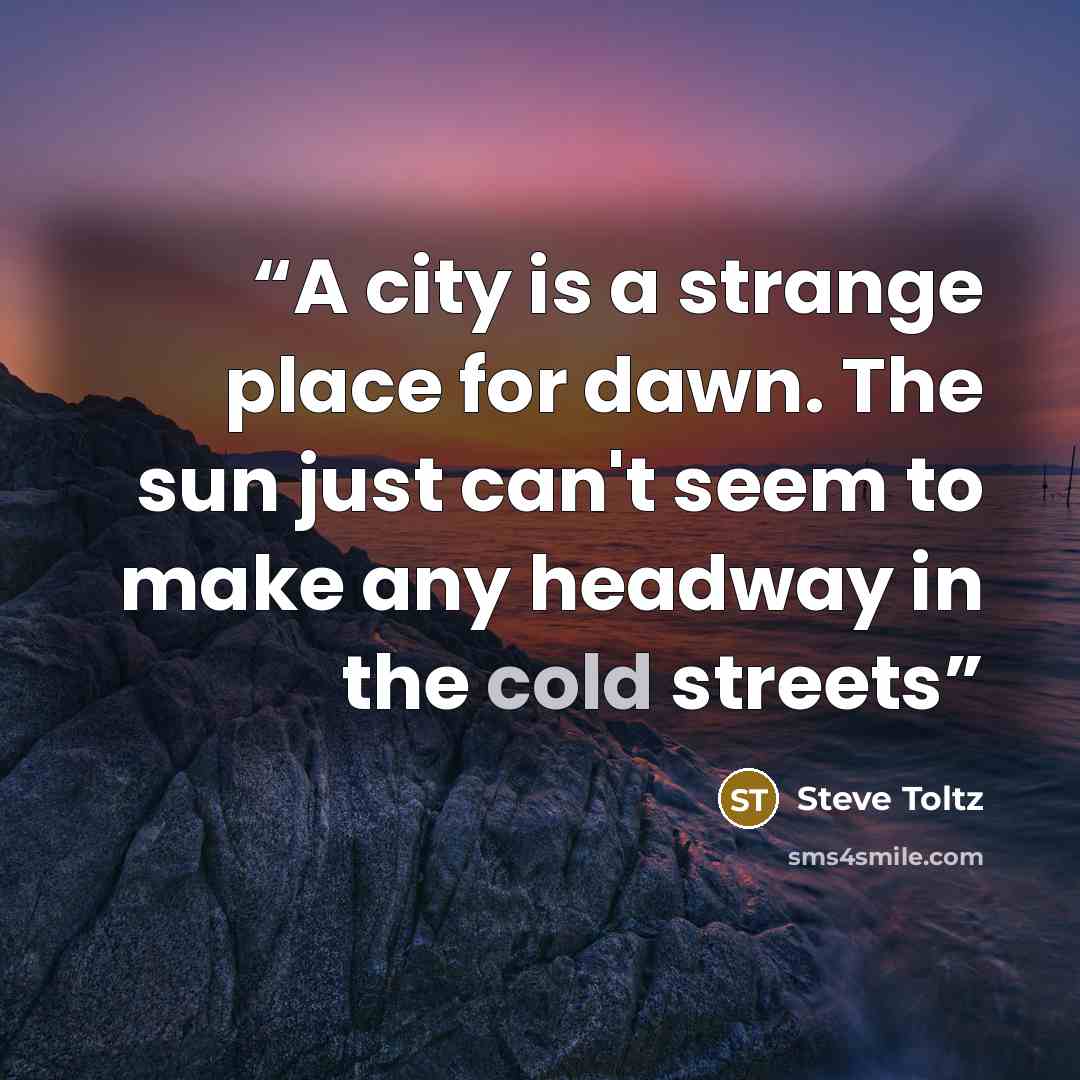 “A city is a strange place for dawn. The sun just can't seem to make any headway in the cold streets” quote by Steve Toltz